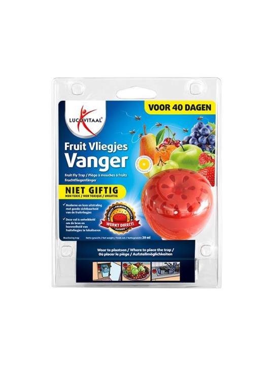 Fruitvliegjes vanger 