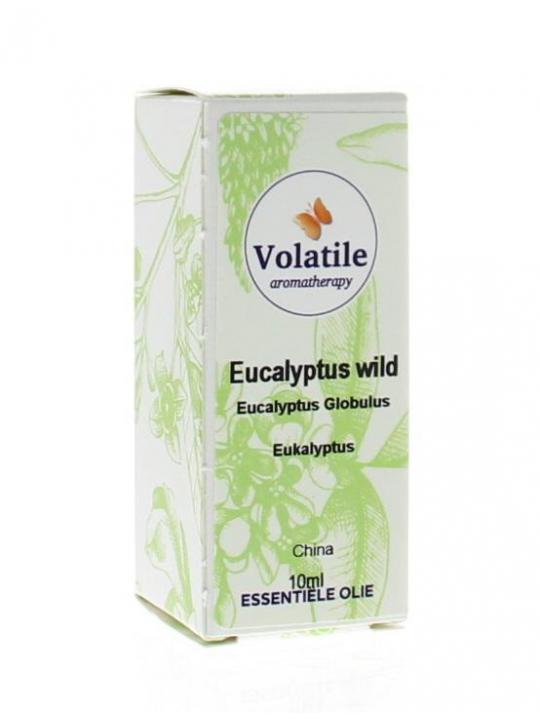 Eucalyptus wild