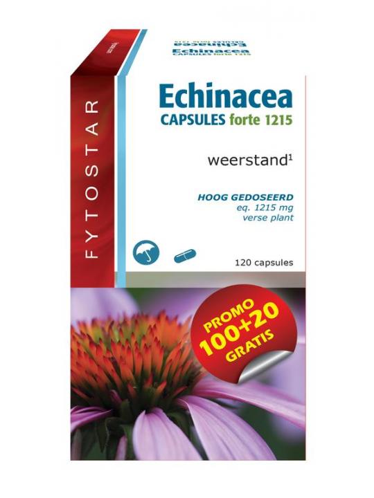 Echinacea forte 1215 maxi