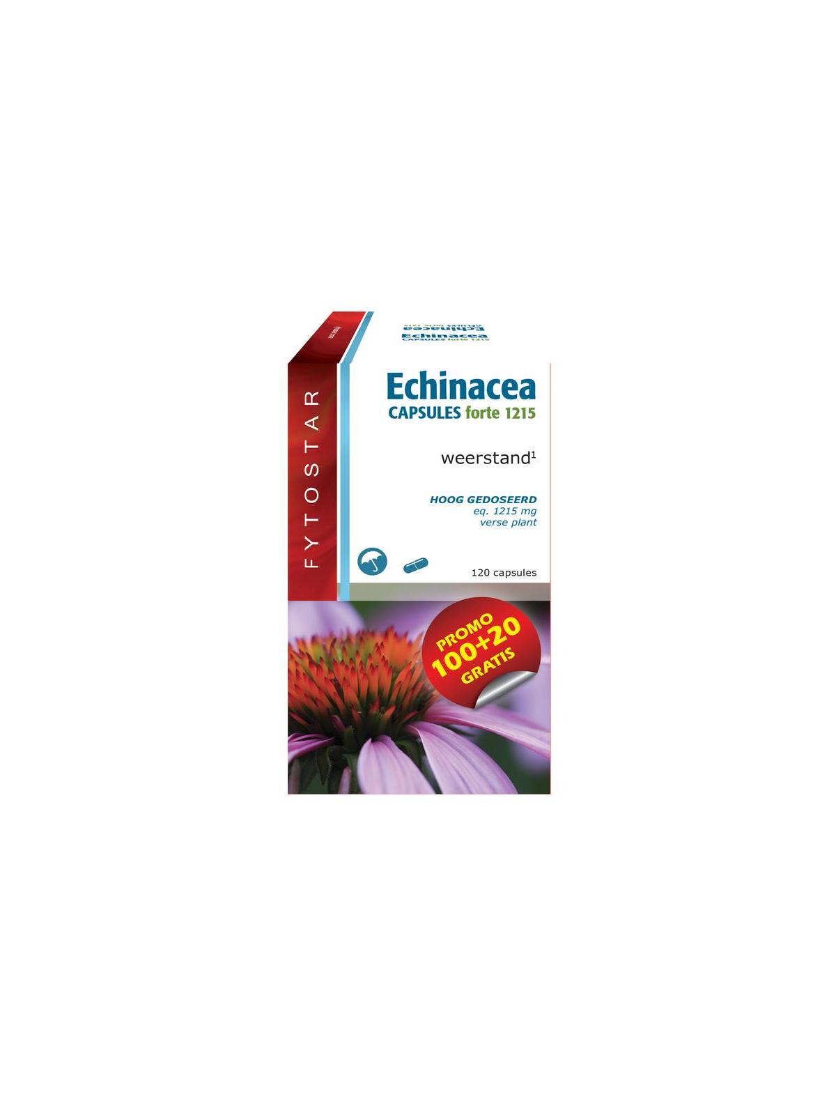 Echinacea forte 1215 maxi