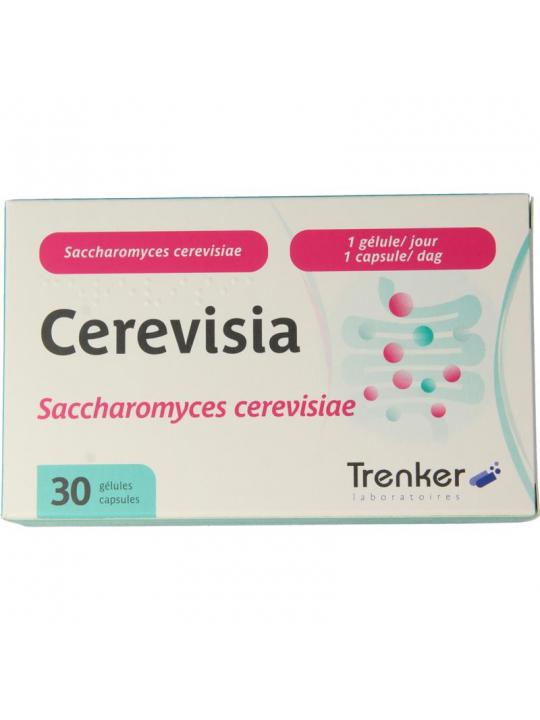 Cerevisia