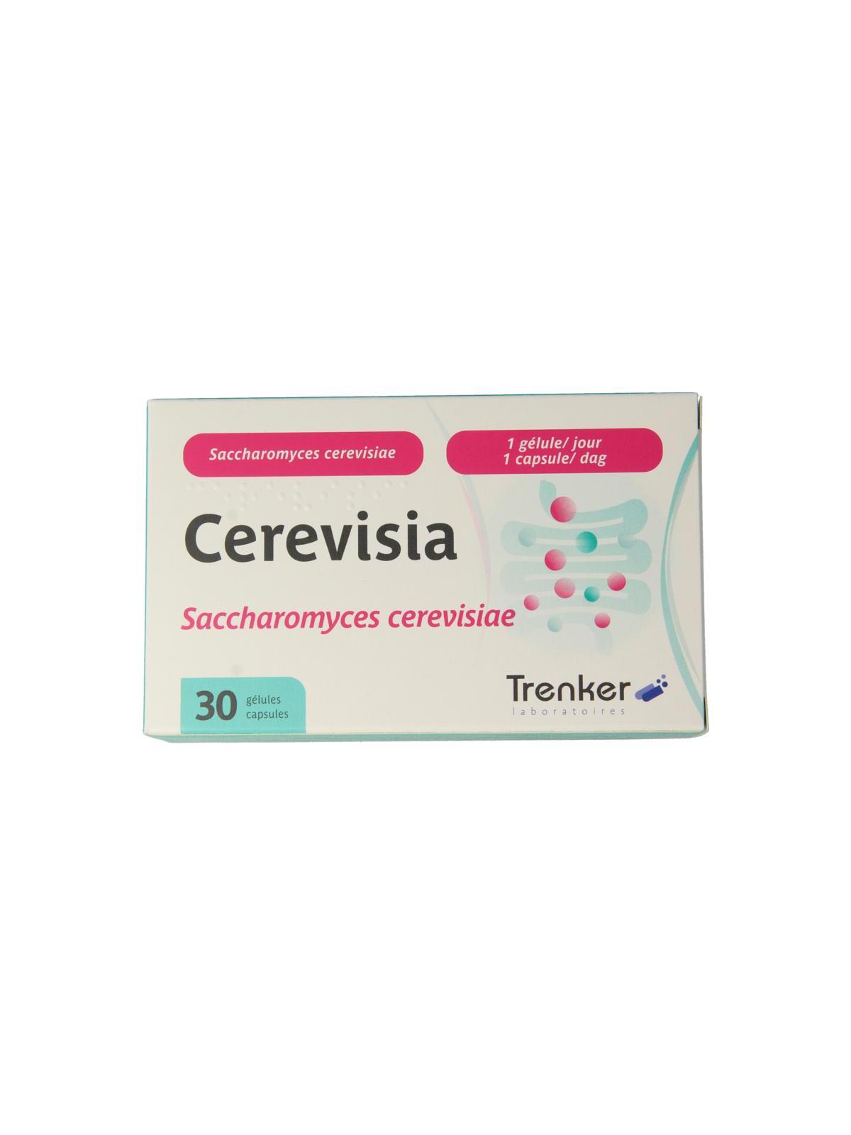 Cerevisia