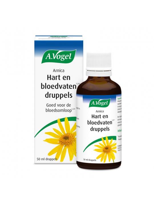 Arnica hart en bloedvaten