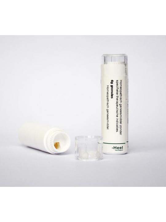 Arnica montana 200K