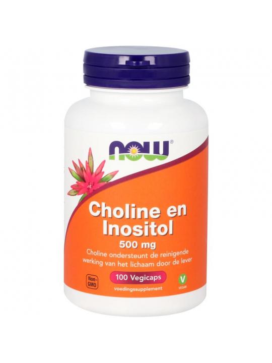 Choline en inositol 500mg