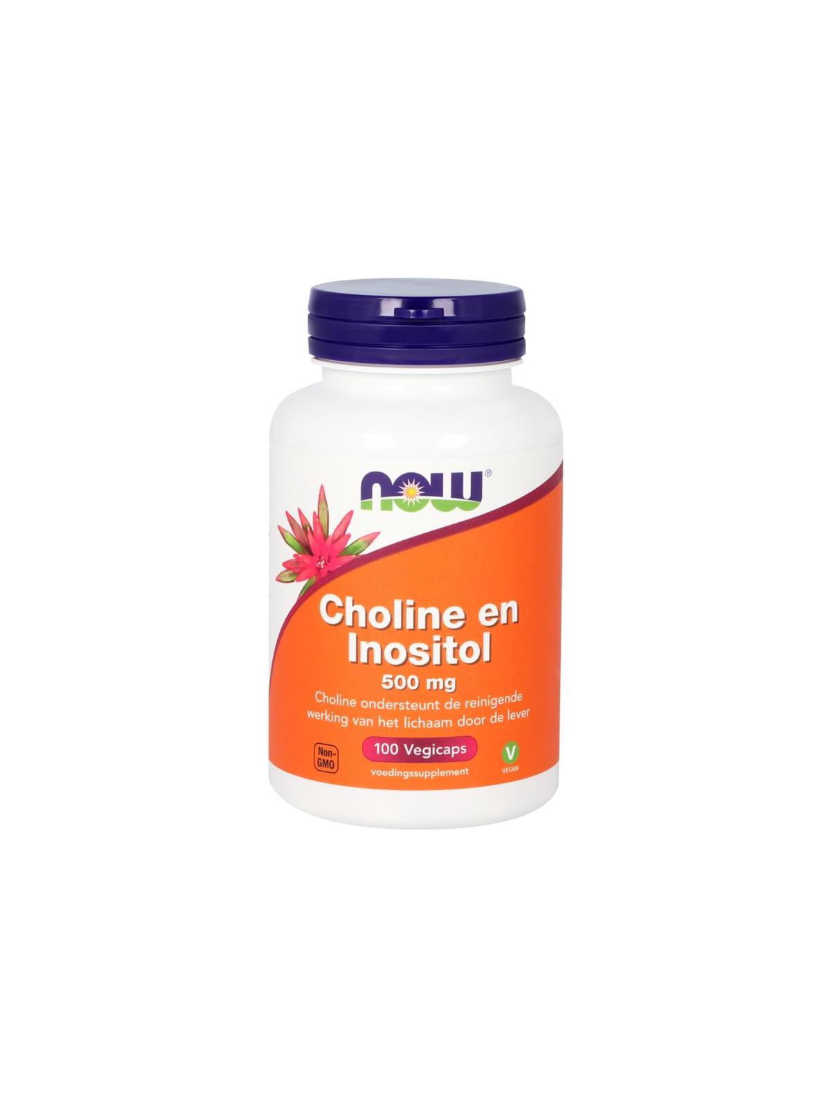 Choline en inositol 500mg