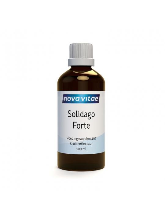 Solidago forte (guldenroede) kruidentinctuur