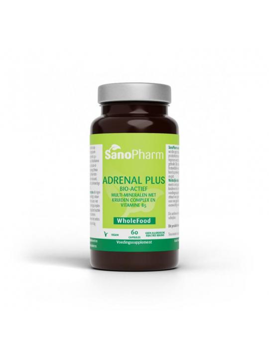 Ginseng complex v/h Adrenal plus wholefood