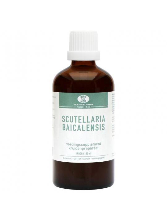 Scutellaria baicelensis tinctuur