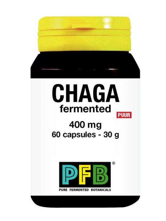 Chaga fermented 400 mg puur