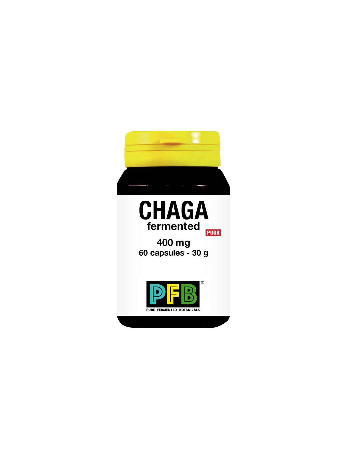 Chaga fermented 400 mg puur